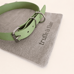 collier-chien-biothane-classique-avocat