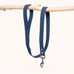 laisse-biothane-chiens-classique-bleu