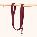 laisse-biothane-chiens-classique-framboise