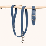 laisse-collier-biothane-chiens-classique-bleu