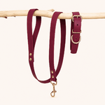 laisse-collier-biothane-chiens-classique-framboise