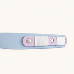 collier-chien-biothane-lilas-bleu-ciel
