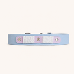 collier-chiens-biothane-bleu-ciel-lilas