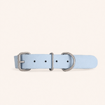 collier-biothane-chien-bleu-ciel-lilas