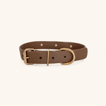 collier-biothane-chiens-coffee