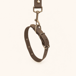 collier-laisse-biothane-chiens-coffee