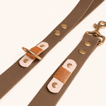 laisse-chien-biothane-coffee
