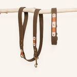 collier-laisse-biothane-chien-coffee