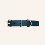 collier-biothane-chien-forest