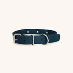 collier-biothane-chiens-forest