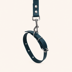collier-laisse-biothane-chiens-forest