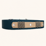 collier-chien-biothane-forest