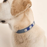 collier-chien-biothane-navi-truffe-flair