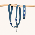 collier-laisse-biothane-chien-navi