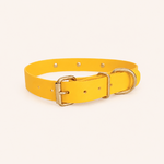 collier-biothane-chiens-jaune