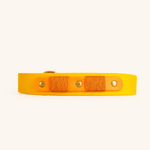 collier-chiens-biothane-jaune