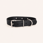 collier-biothane-chiens-noir