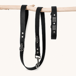 collier-laisse-ensemble-biothane-chien-noir