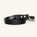 laisse-chiens-noir-biothane