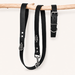 laisse-ensemble-biothane-chiens-noir