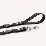 laisse-noir-chien-biothane