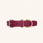 collier-biothane-chien-romy