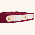 collier-chien-biothane-romy