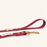 laisse-romy-chiens-biothane