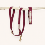 collier-laisse-biothane-chien-romy