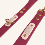laisse-romy-chien-biothane