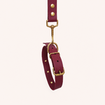 collier-laisse-biothane-chiens-romy