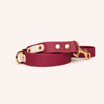laisse-chiens-romy-biothane