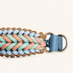collier-chien-paracorde-bleu-biothane-tresse