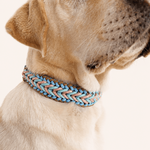collier-chien-biothane-paracorde-tressee-bleu