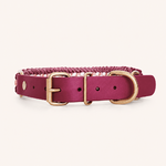 collier-paracorde-framboise-biothane-tresse-chien