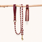 laisse-biothane-paracorde-framboise-chiens