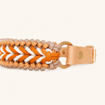 collier-chien-jaune-paracorde-biothane-tresse