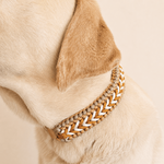 collier-chien-tresse-biothane-jaune-paracorde-truffe-flair
