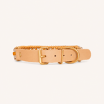 collier-paracorde-jaune-biothane-tresse-chien
