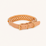 collier-paracorde-jaune-biothane-chien-tresse