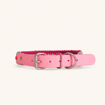 collier-paracorde-fuchsia-biothane-tresse-chien