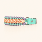 collier-chien-paracorde-pastel-biothane-tresse