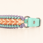 collier-chien-pastel-paracorde-biothane-tresse