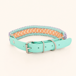 collier-paracorde-pastel-biothane-chien-tresse