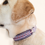 collier-chien-tresse-biothane-lilas-paracorde-truffe-flair