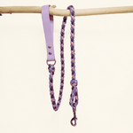 laisse-biothane-paracorde-lilas-chien