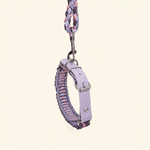 laisse-collier-biothane-paracorde-lilas-chien