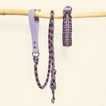 laisse-biothane-paracorde-lilas-chiens