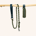 laisse-collier-biothane-paracorde-vert-chiens