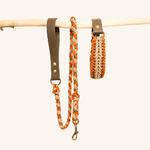 laisse-biothane-paracorde-orange-chiens